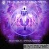 Opening Doors To The Unseen (feat. Beast1333) - Single
