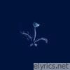 Sixes (Maston Remix) - Single