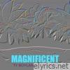 Magnificent (feat. Ariaa) - Single