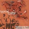 Typical Cats - Typical Cats