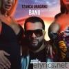 Tzanca Uraganu & Manele Mentolate - Banii - Single