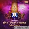 Shri Venkatesha Stotram (Lofi) - Single