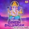 Ganesh Bhujangam (LoFi) - Single