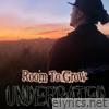 Room to Grow - EP