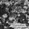 Hibernation - Single