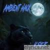 Ambient Hack (Remix 2025) - Single