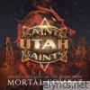 Utah Saints Take On the Theme From Mortal Kombat (2022 Remaster) - Single