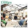 Lungu - Single