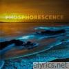 Phosphorescence - Single