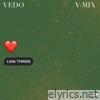 Little Things (V-Mix) - Single