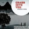 Crash into You - Single