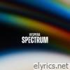 Spectrum - Single