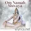 Om Namah Shivaya - Single