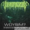 WDYSIM? (MySpace Deathcore Version) - Single