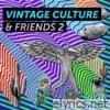 Vintage Culture & Friends 2 - EP