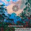 Appreciate (feat. Freddy Larrosa) - Single