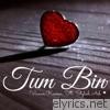 Tum Bin (feat. Stylish Ash) - Single