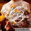 No Songbirds - EP