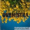 OBRNISTRA - Single