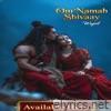 Om Namah Shivaay - Single