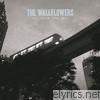 The Wallflowers: Collected 1996-2005