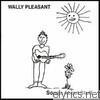 Wally Pleasant - Songs About Stuff