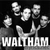 Waltham - The Ducky Sessions from Room 9