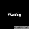 Wanting lyrics