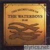 The Secret Life of the Waterboys (1981 - 1985)