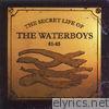 The Secret Life of the Waterboys (1981-1985)
