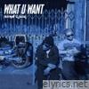 What U Want (feat. Jozzy) - Single