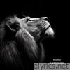 Carnivore