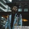 Weeknd - King of the Fall - Single