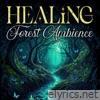 Healing Forest Ambience