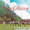 CoinciDestiny - Single