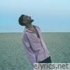 I'll Wait - Single