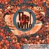 Who lyrics