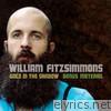 William Fitzsimmons - Gold In the Shadow (Bonus Material)