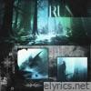run - Single