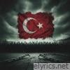 Apo Piçtir Piç Kalacak 2 - Single
