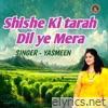 Shishe Ki tarah Dil ye Mera - Single