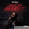 Ain't No Secret - Single