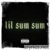 Lil Sum Sum - Single