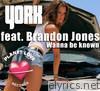 Wanna Be Known (feat. Brandon Jones) - EP