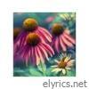 Daydreamer - Single