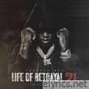 Life of Betrayal 2x