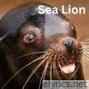 Sea Lion - Single