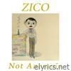 Not Anemoia (Acoustic Demo Version) - Single