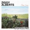Ziggy Alberts - New Love - Single