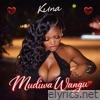 Mudiwa Wangu - Single